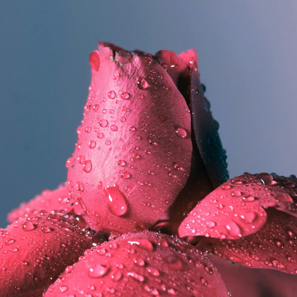 Spinal Energetics: In-Person 1-1 Taipei (New Client)